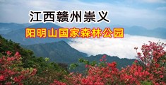 美女的大逼流淫水视频